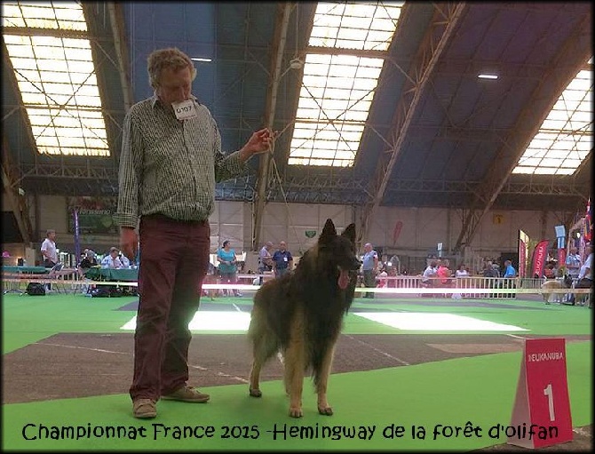 de la Forêt d'Olifan - Championnat de france 2015 !